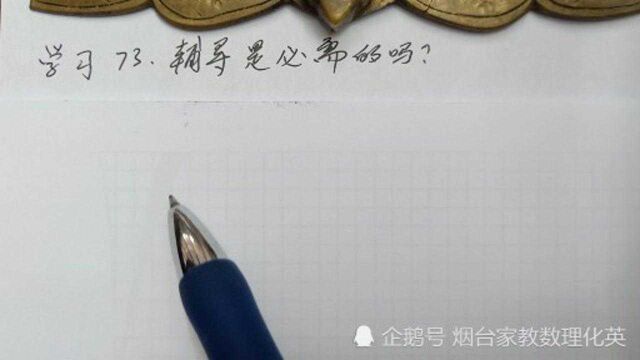 学习方法73,辅导是必需的吗?