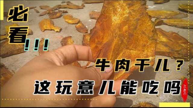 精品货太像牛肉了,咬了一口后又涩又苦,中药材大黄好货原来如此