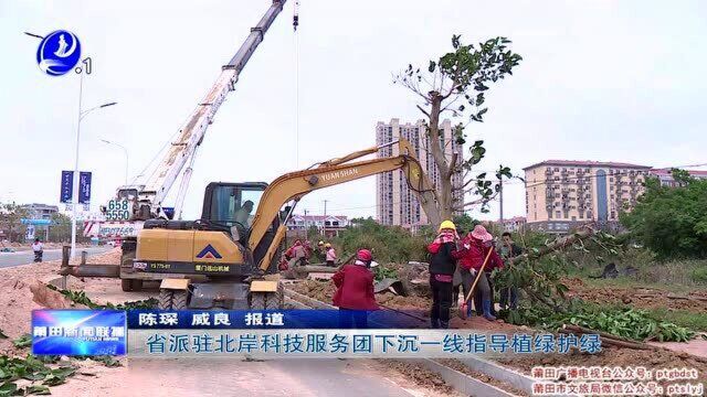 省派驻北岸科技服务团下沉一线指导植绿护绿