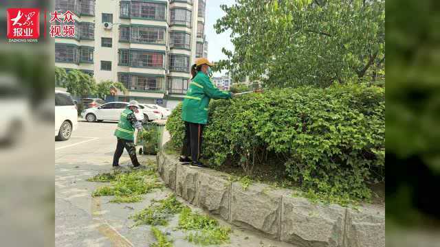 泰山区泰前街道:聚焦小切口,服务大民生