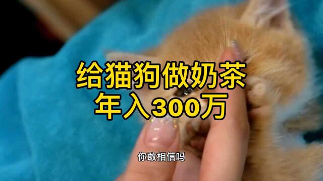 给猫狗做奶茶就能年入300万