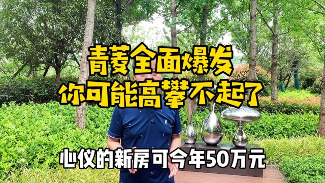 白沙洲青菱全面爆发,你可能高攀不起了