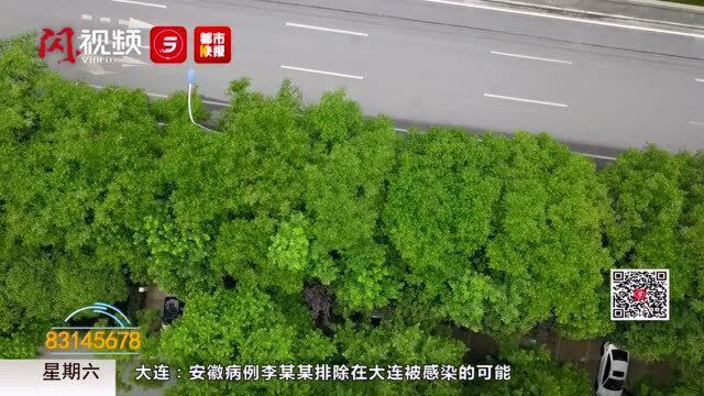 绿意盎然 西安首条自行车通勤示范路亮相