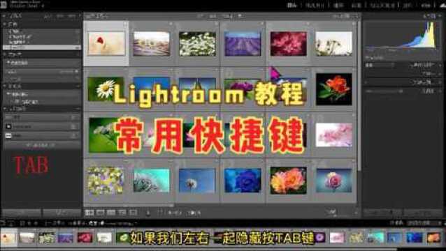 Lightroom快速上手,常用快捷键讲解,快捷键可以使用工作事半功倍