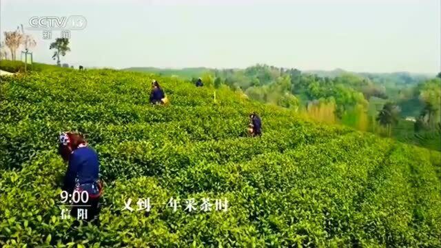 【奋斗百年路 启航新征程—今日中国河南篇】好看河南