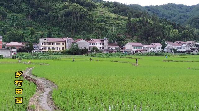 这就是农村的田园风光,有田间地头,也有诗和远方