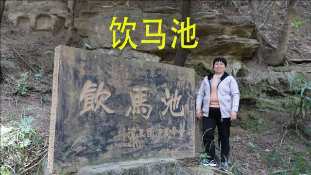 在卧龙山风景区内的山林里,藏着三国遗迹:张飞拴马树和饮马池