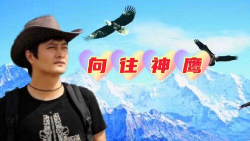 云飞《向往神鹰》