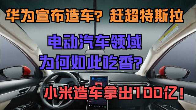 华为进军电动汽车行业,小米拿出100亿造车,电动汽车如此吃香?