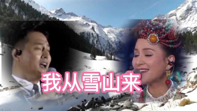 天籁之音对唱,云飞和泽仁央金的【我从雪山来】唱的太美,太好听了.