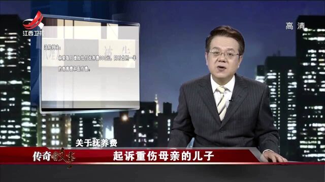 母亲5:男孩上诉法院状告母亲,一场没有赢家的官司,让人心酸