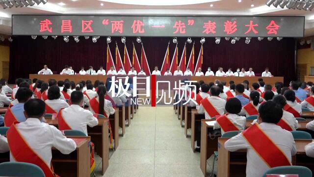 学习榜样勇担使命,加速起步开创新局,武昌区举行“两优一先”表彰大会