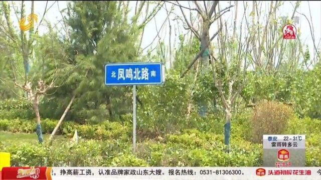 680亩东部“绿肺”!济钢中央森林公园开放,市民再添游玩好去处