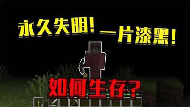 我的世界:当在我的世界里永久失明!眼前一片漆黑!该如何生存?MC趣味生存 #6月爱玩新游特邀作者团#