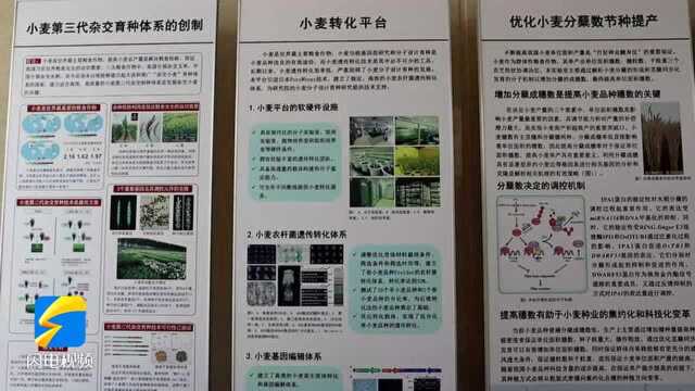 1分钟浏览现代农业“硅谷” 一波科研成果等你来看