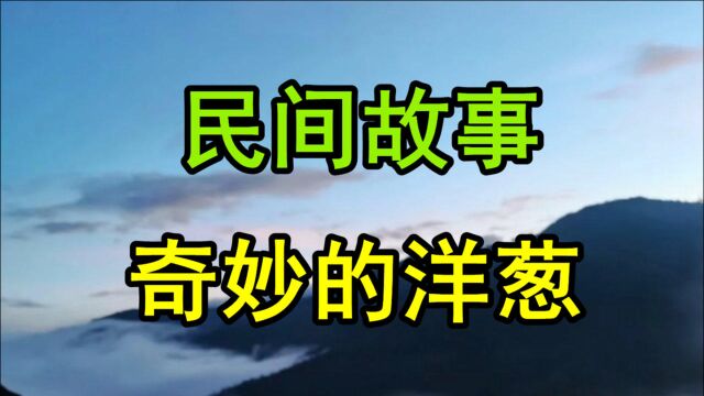 民间故事《奇妙的洋葱》西汉末期有一个叫善阿让的商人