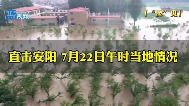 【“豫”见安阳】直击安阳今日中午情况