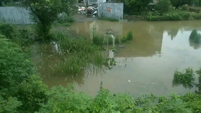 台风来浙江绍兴了,暴雨涨水家门口能撑船了