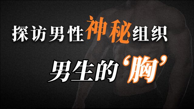 探访男性神秘组织!男生的“胸”到底是干什么用的?