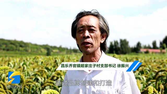 潍坊昌乐:发挥火山农业优势资源 以产业发展带动乡村振兴