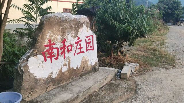 傍晚的景色令人陶醉:露水滋润着萎靡的花草,没有风,四周异常宁静,空气凉爽宜人.