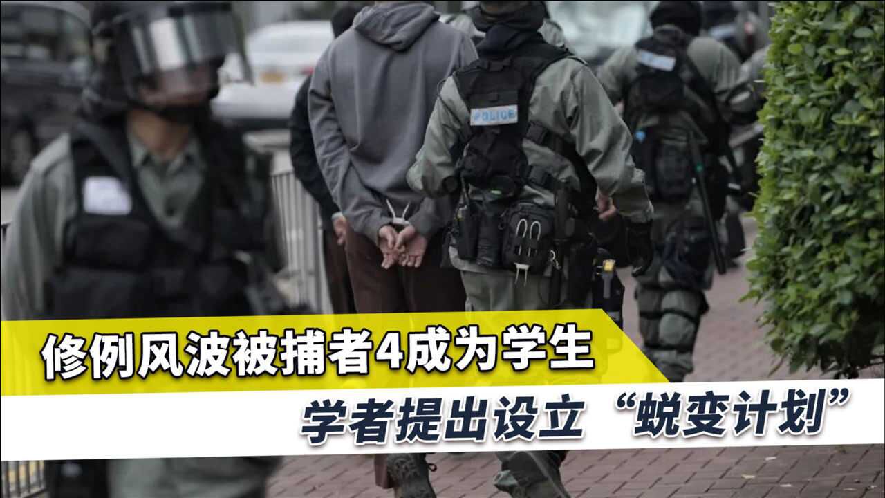 2019年香港暴动,港警逮捕超1万人,4成人身份令人伤心,学者提议