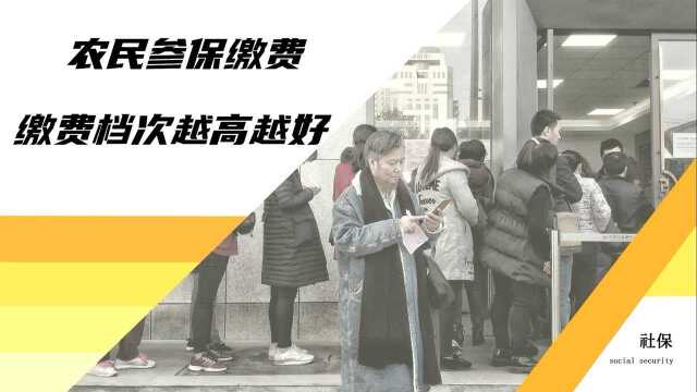 为什么建议农民参保时,最好选择高档次缴费?主要有这4大优势