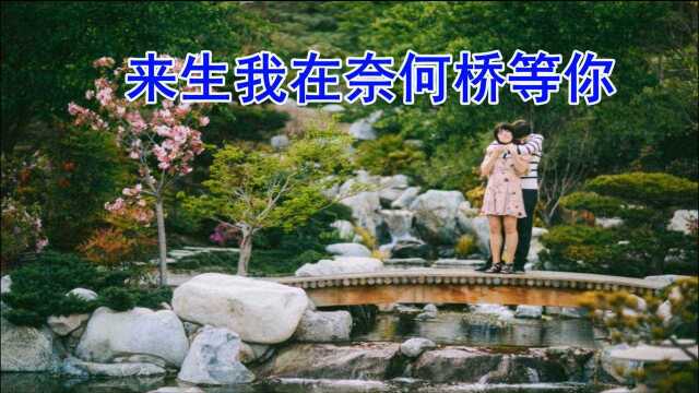 催泪情歌《来生我在奈何桥等你》句句感人,声声泪下,听哭了多少人