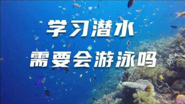 潜水需要会游泳吗,为什么会有两种说法,教练以及潜水体系如何说