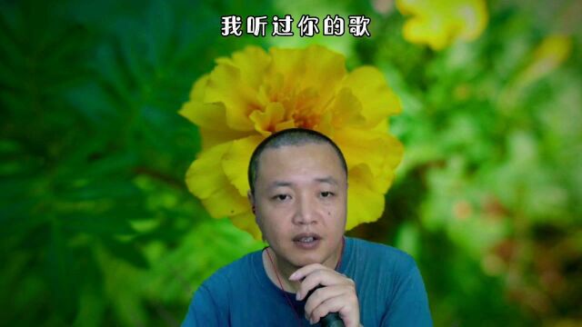 还记得这首老歌吗《我听过你的歌》,重温经典旋律