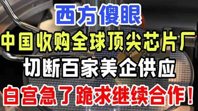 西方傻眼,中国收购全球顶尖芯片厂,一举断供百家美国企业,白宫急了恳求继续合作!