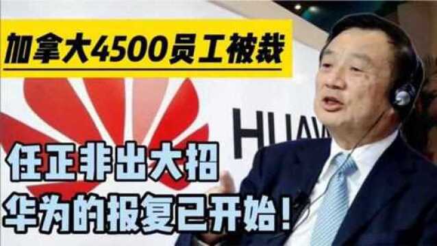 华为绝地大反击!4500名加拿大员工被裁,任正非 绝不交出5G专利