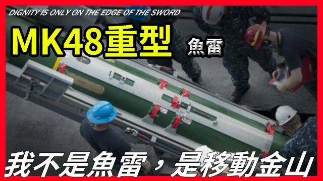 【MK48重型鱼雷】:一枚在1000万美元的MK48重型鱼雷,到底有多厉害?