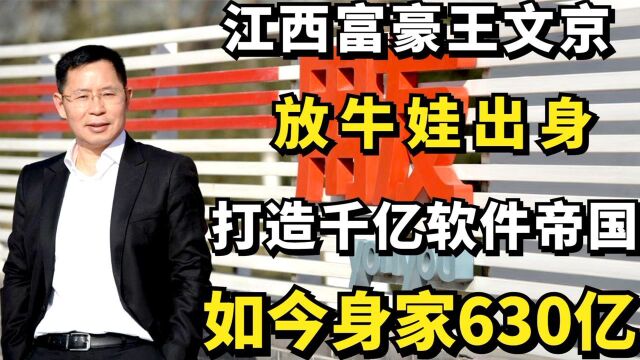 江西富豪王文京:放牛娃出身,打造千亿软件帝国,如今身家630亿纪录片