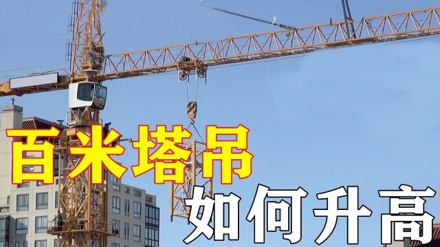 比建筑还高的百米塔吊,是如何升高的?看完恍然大悟!#知识ˆ’知识抢先知#