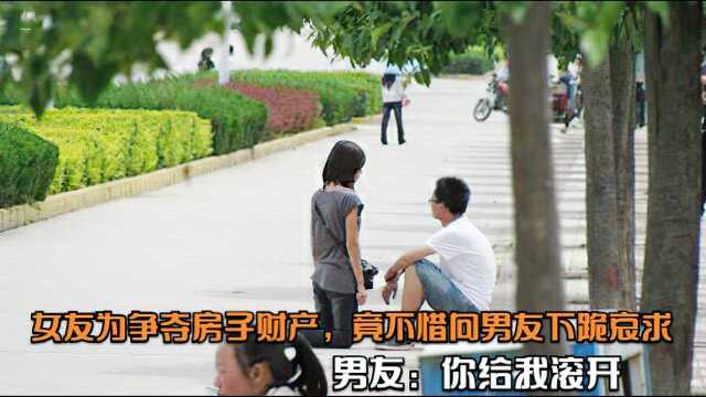 女友为争夺房子财产,竟不惜向男友下跪哀求,男友:你给我滚开