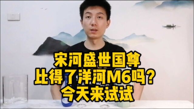 宋河盛世国尊比得了洋河M6吗?今天来对比解惑