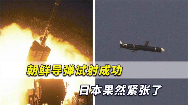 朝鲜远程巡航导弹试射成功,日本果然紧张:东京就在导弹射程内