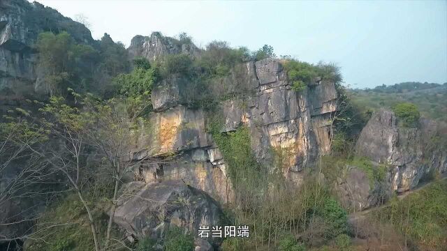 视频丨永州之野有摩崖——江华阳华岩摩崖石刻邀您来打卡