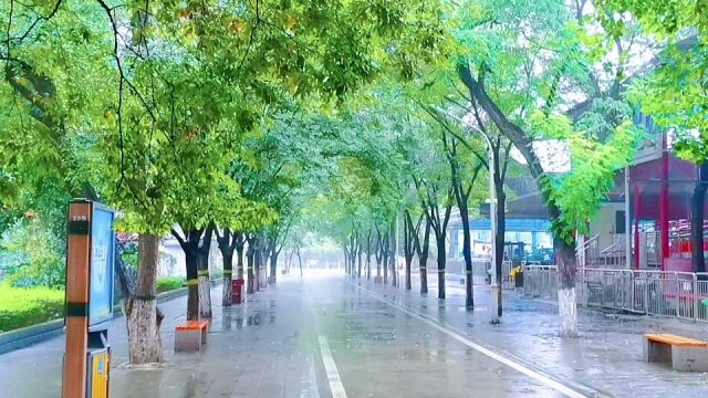 雨中欣赏平顶山市河滨公园美景.带你体验河滨公园不一样的美