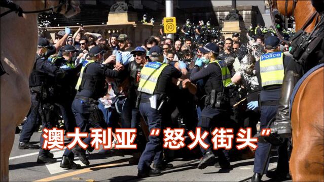 澳大利亚民众大规模集会,抗议中爆发混战,多名警察被打倒踩踏