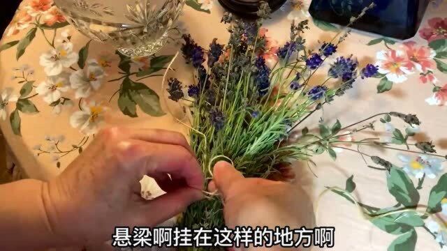 室内植物!推荐和建议室内植物大全!