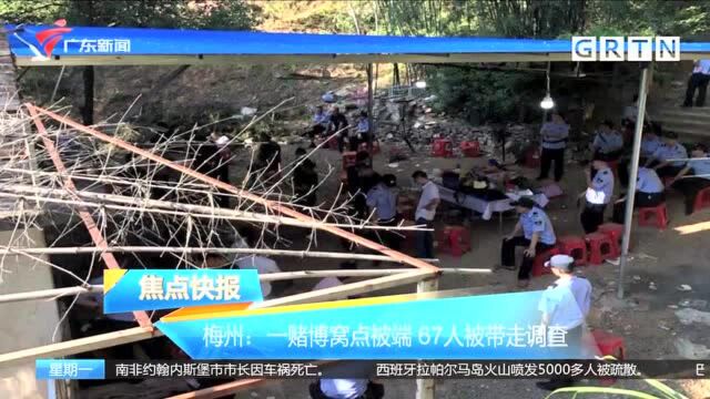 梅州:一赌博窝点被端 67人被带走调查