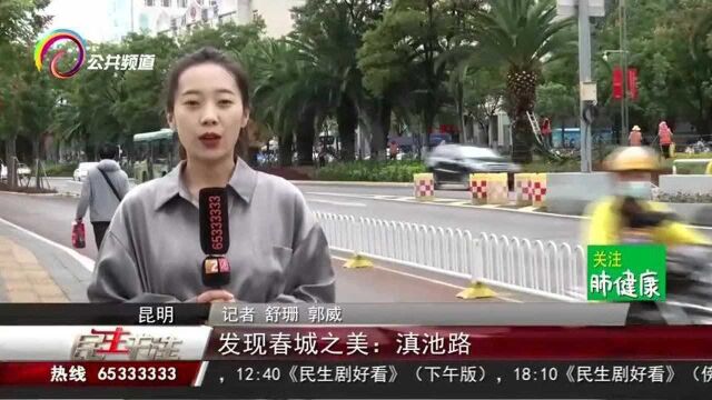 发现春城之美:滇池路