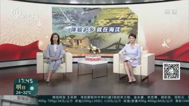 “申动金秋”探访“沪乡”之所在:惠南镇海沈村