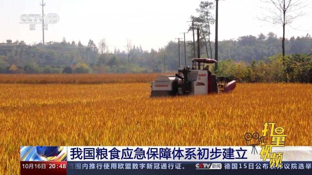 重磅!我国初步建立起符合国情的粮食应急保障体系