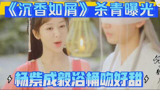 杨紫古装剧《沉香如屑》杀青曝光了,期待正片播放