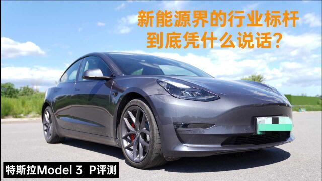 特斯拉Model 3 P评测:新能源界的行业标杆,到底凭什么说话?