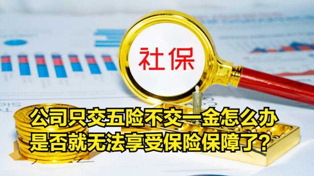 公司只交五险不交一金怎么办?是否就无法享受保险保障了?