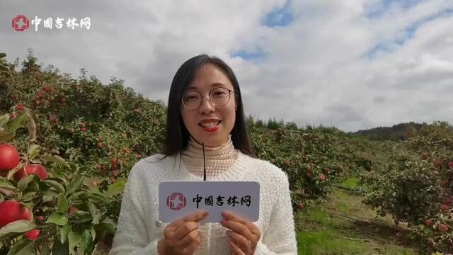 vlog丨走进珲春市板石镇孟岭村